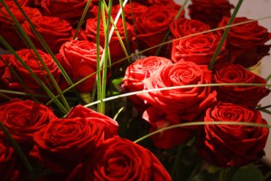 Verschicken Sie einen Strauß roter Rosen per Blumenversand Express, drücken Sie Ihre Liebe aus.